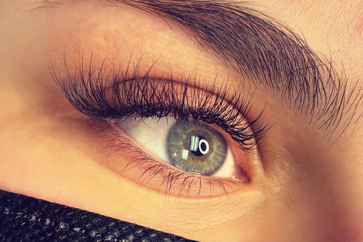 Close-up of groomed brows and lashes