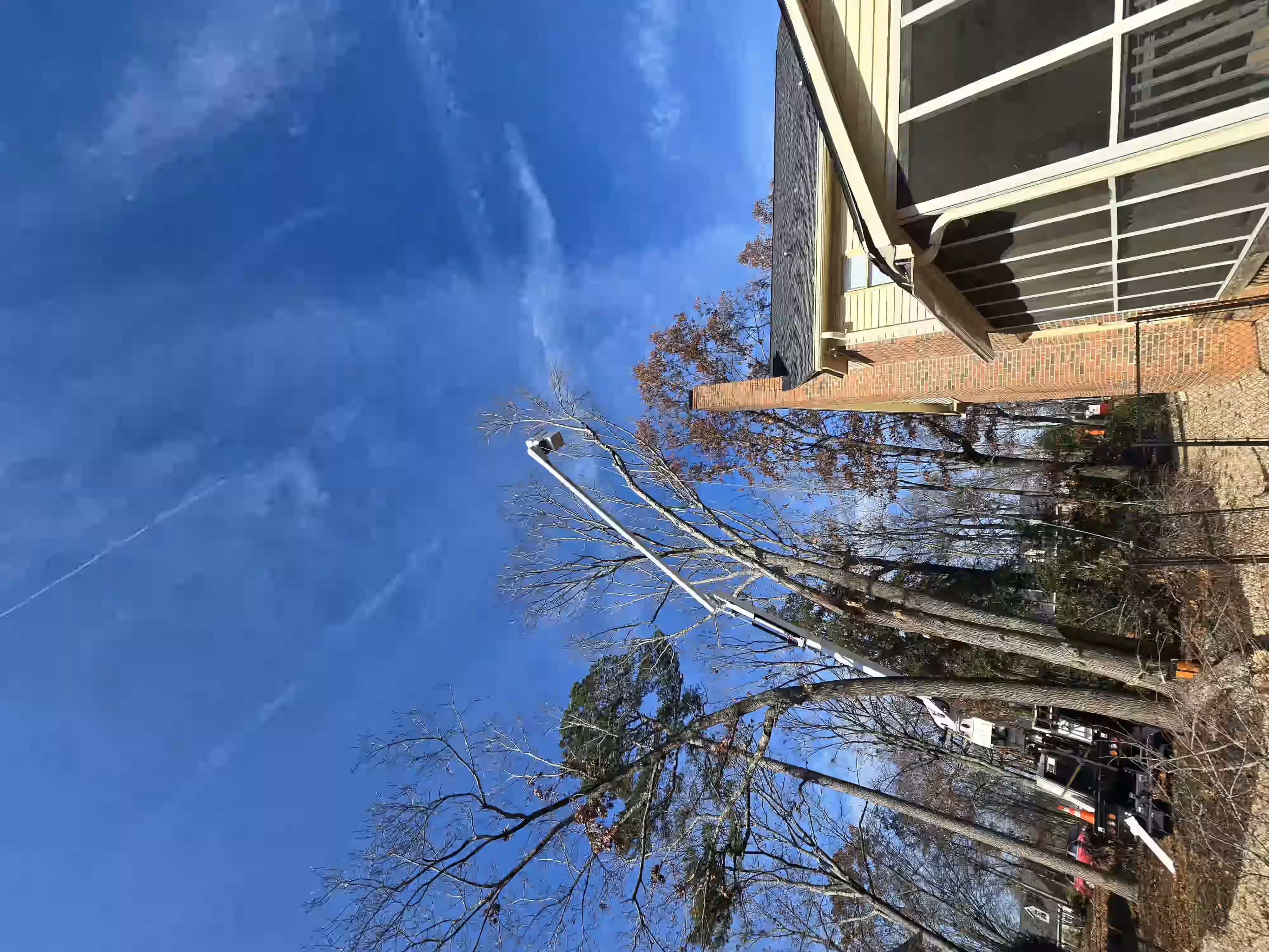 Tree trimming with a bucket lift next to a house under a clear blue sky.