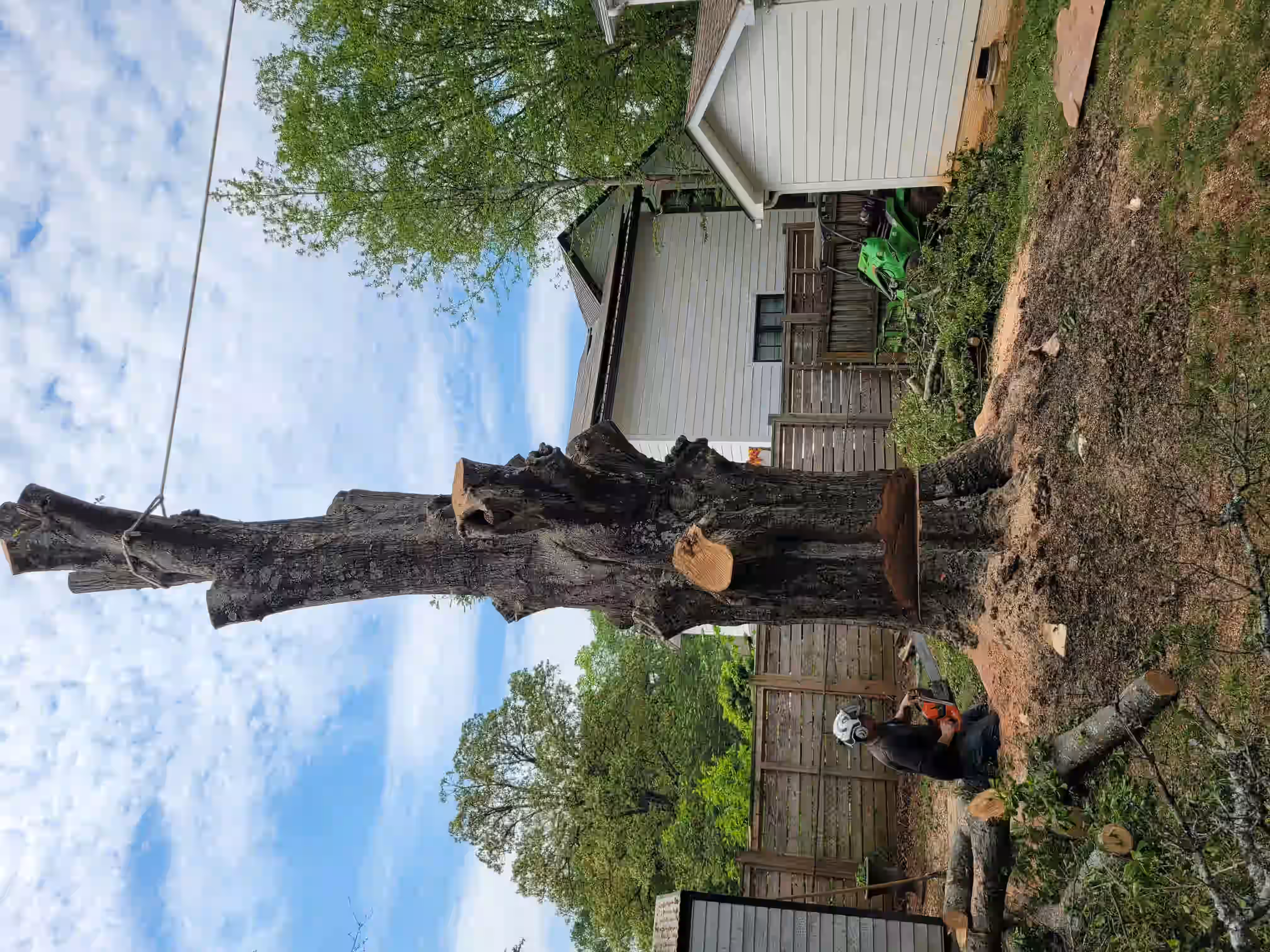 Person cutting a large tree trunk with a chainsaw in a backyard with houses and trees.