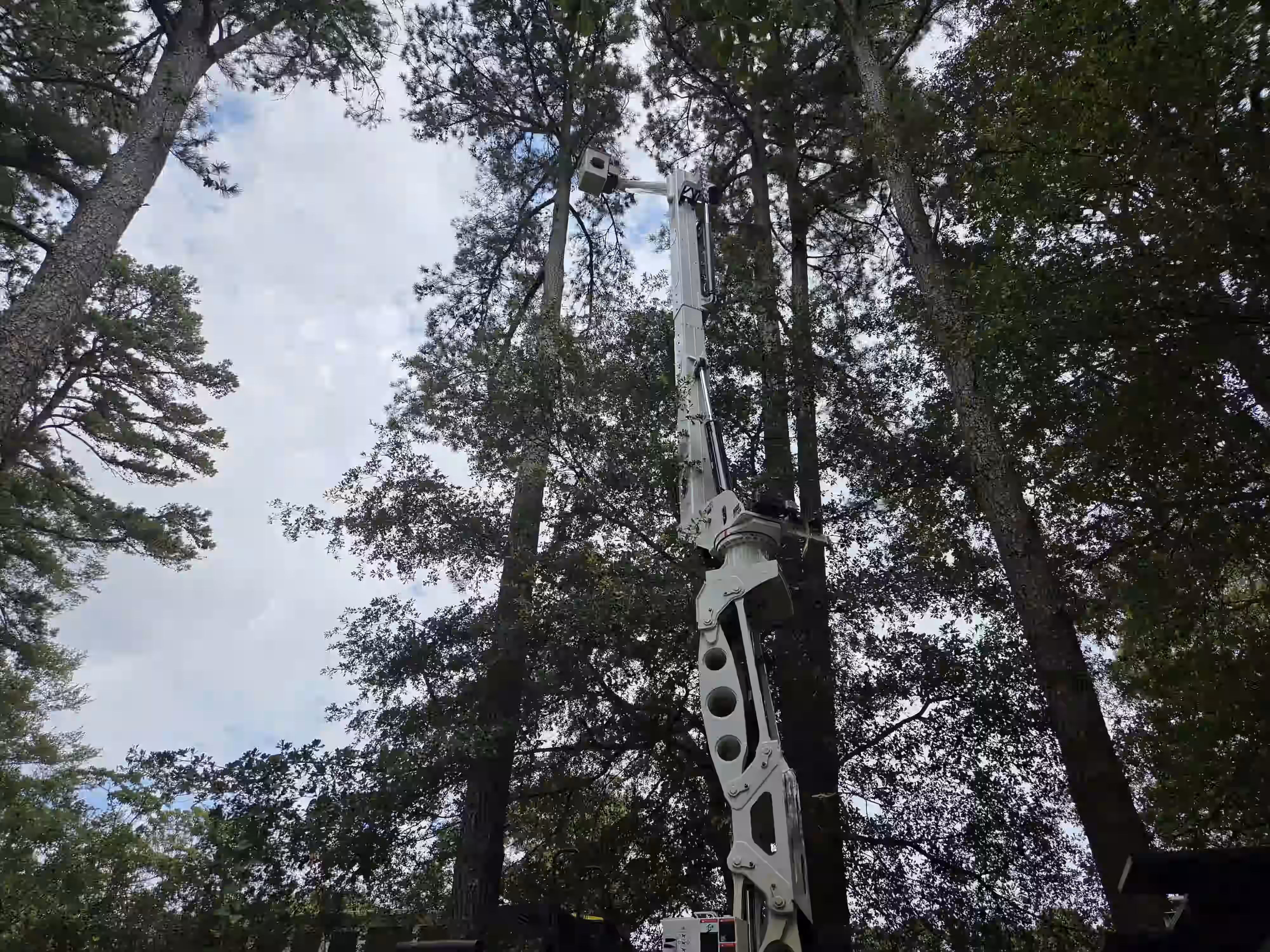 Aerial lift platform elevated among tall trees with a partly cloudy sky in the background.