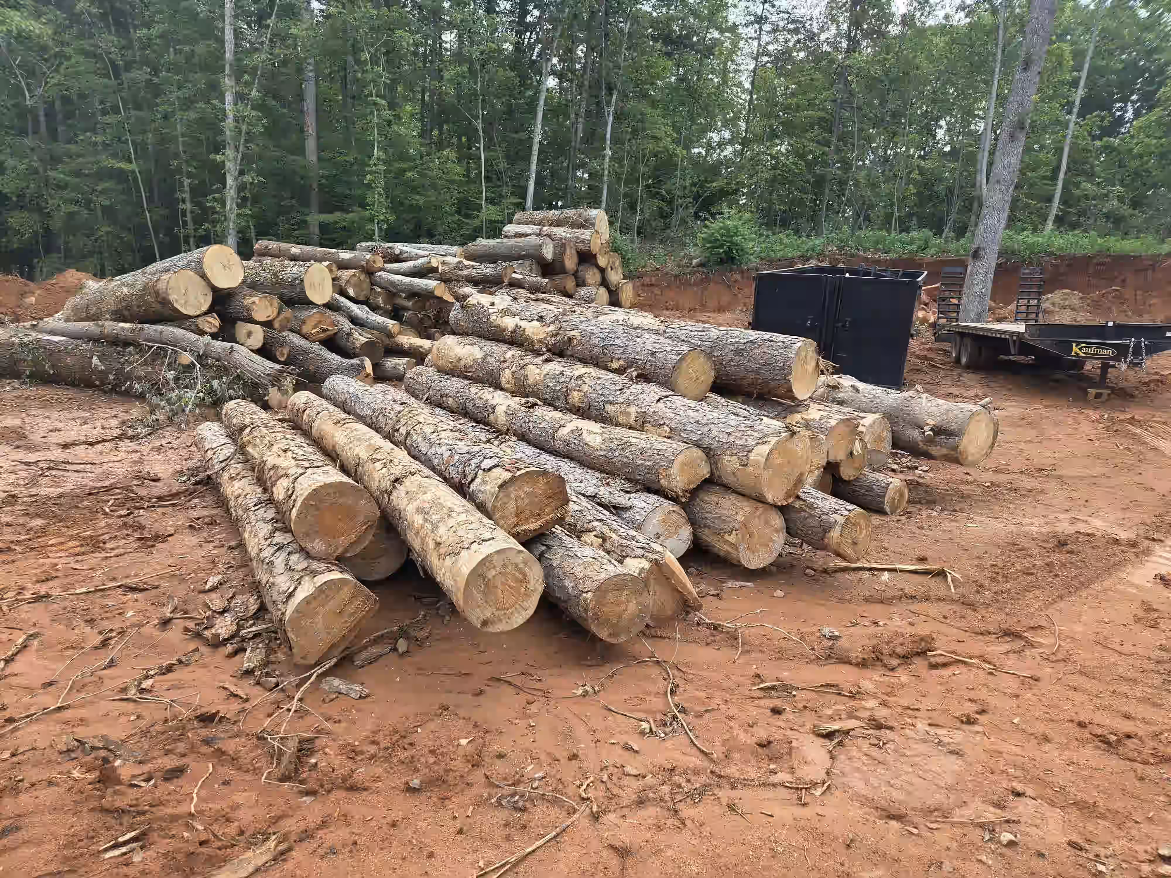 Stacked logs on bare soil next to a black trailer in a forest clearing.