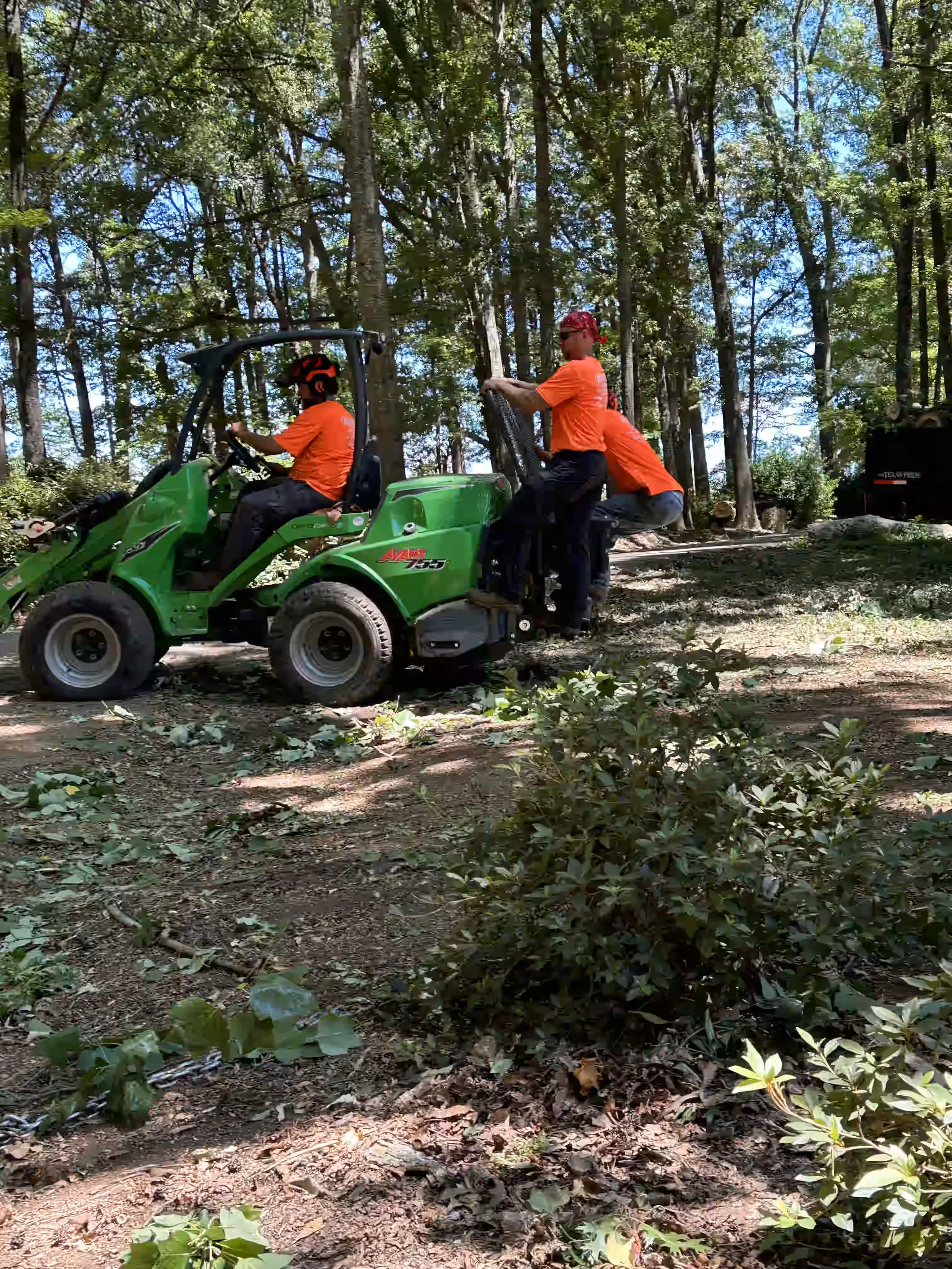 Three men in orange shirts using a green Avant 755 loader in a wooded area with scattered branches.