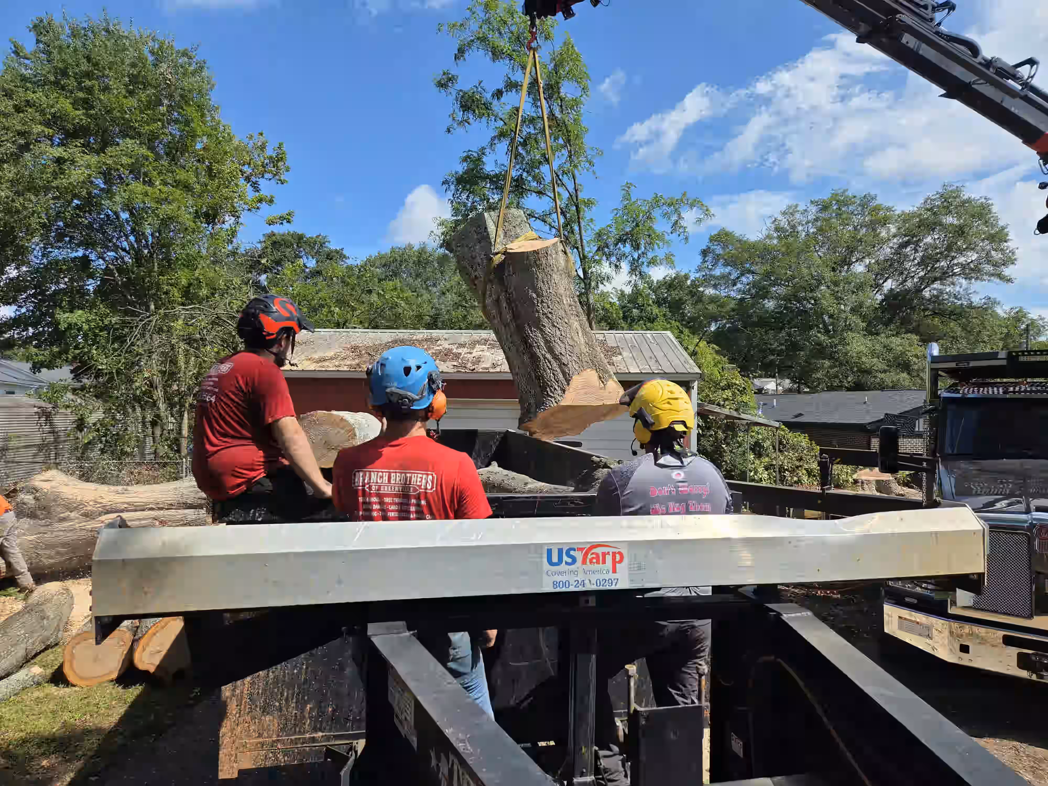 Three workers wearing helmets load a large tree log onto a truck using a crane on a sunny day.