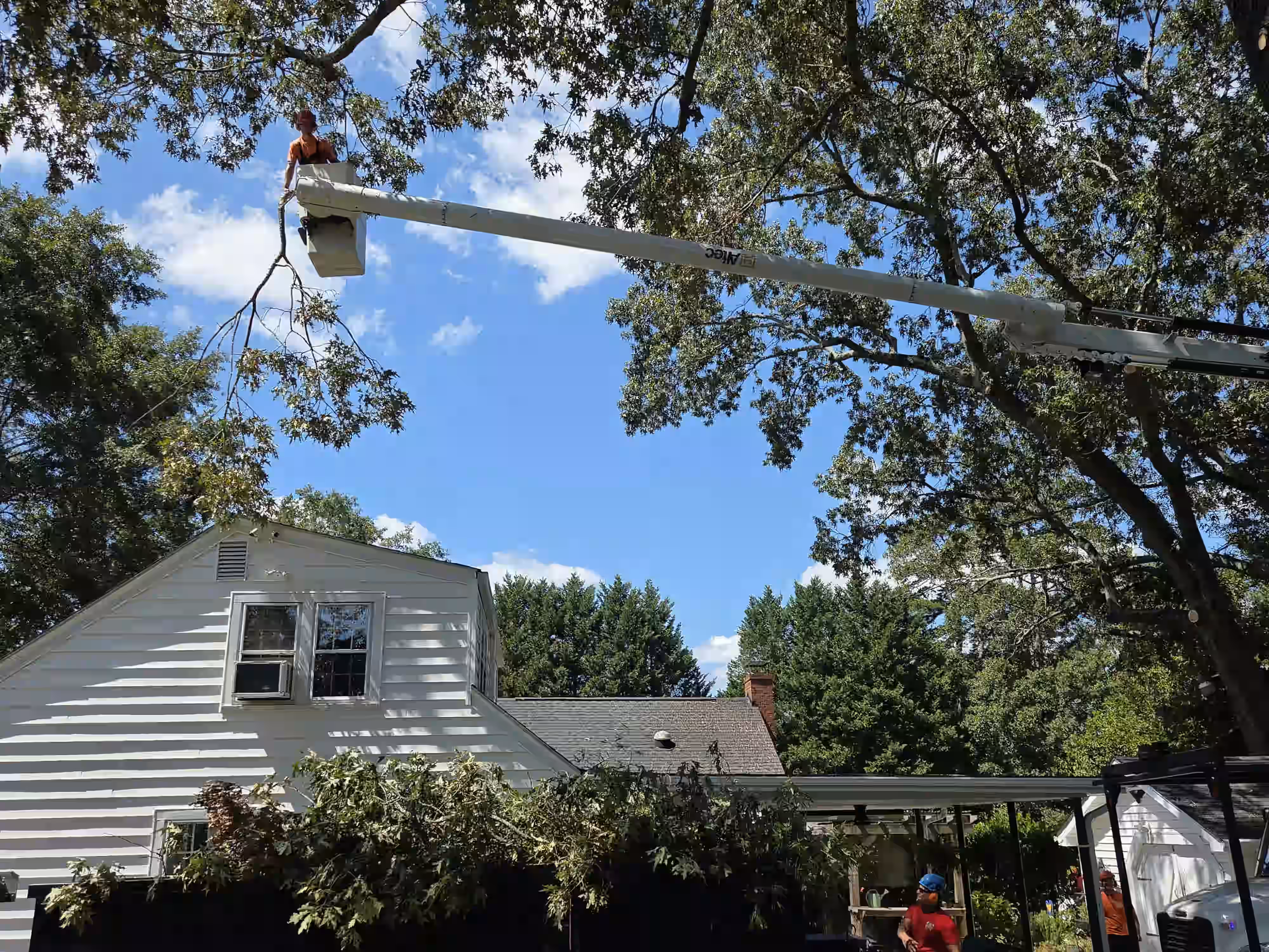 Person trimming tree branches using a bucket lift near a white house under blue sky.