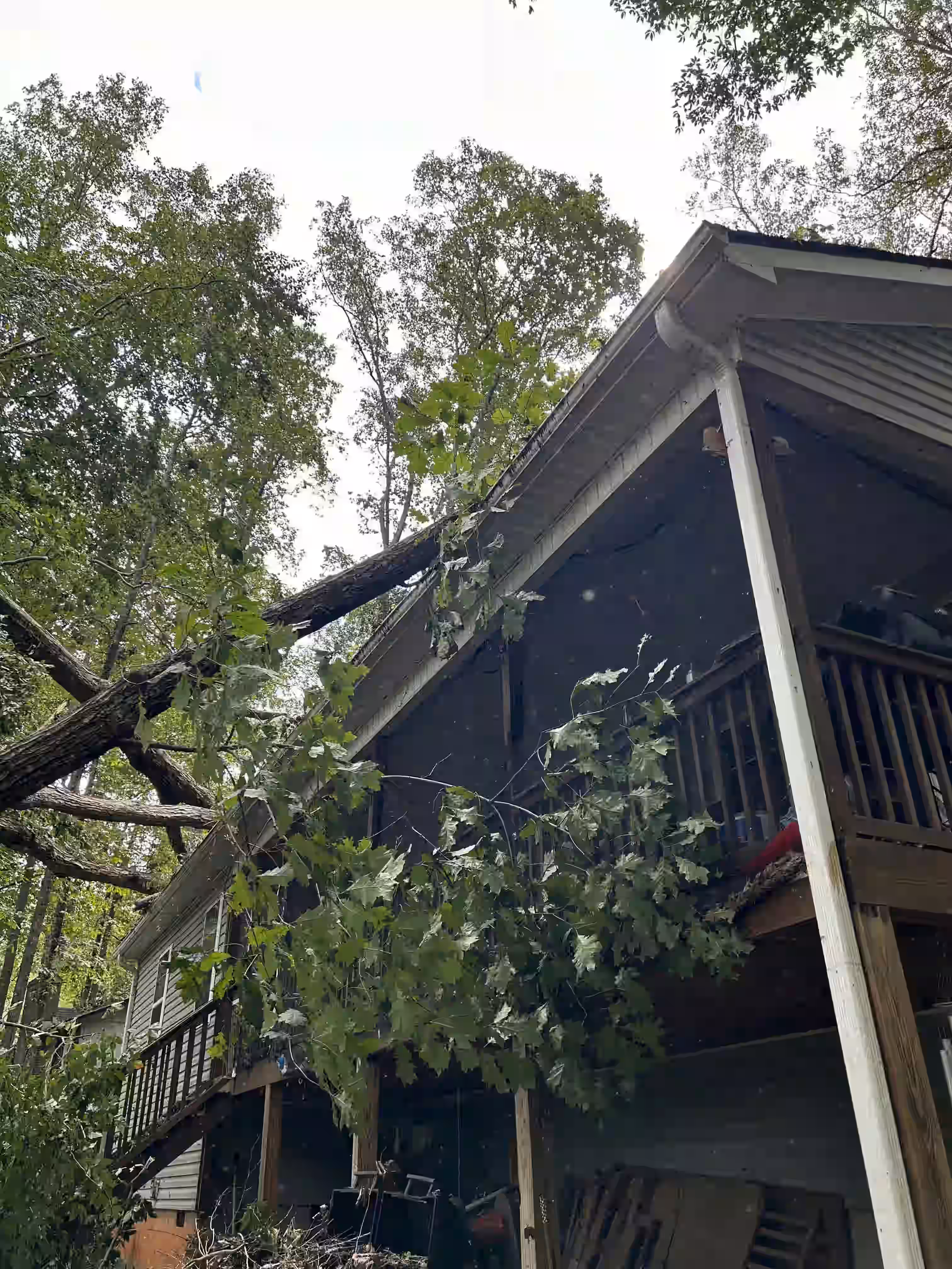 Large tree fallen over house roof with branches covering porch and yard area.