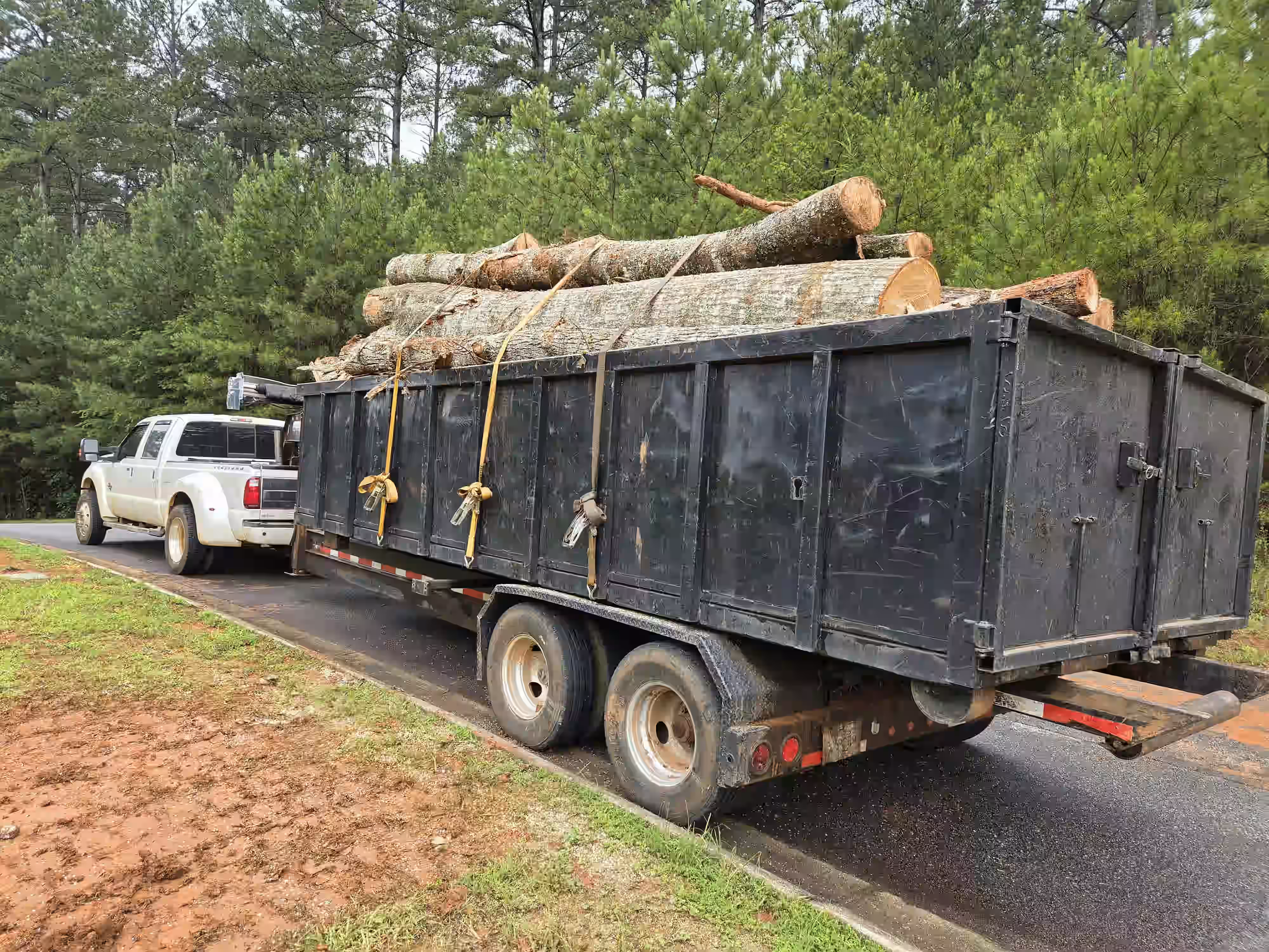 White truck towing black trailer loaded with large secured logs parked beside a wooded area.