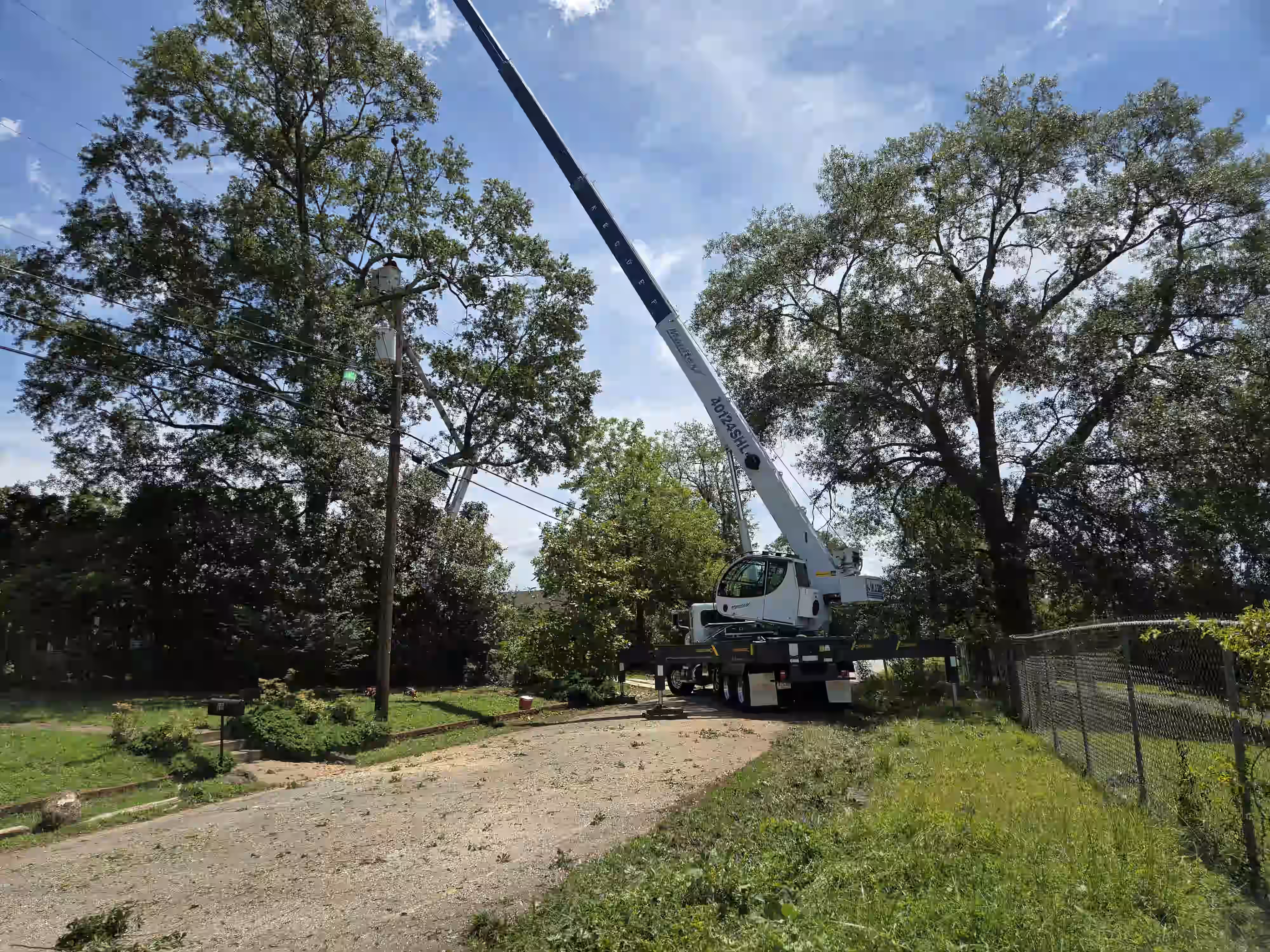 Crane on street lifting equipment near large trees and power lines on a sunny day.