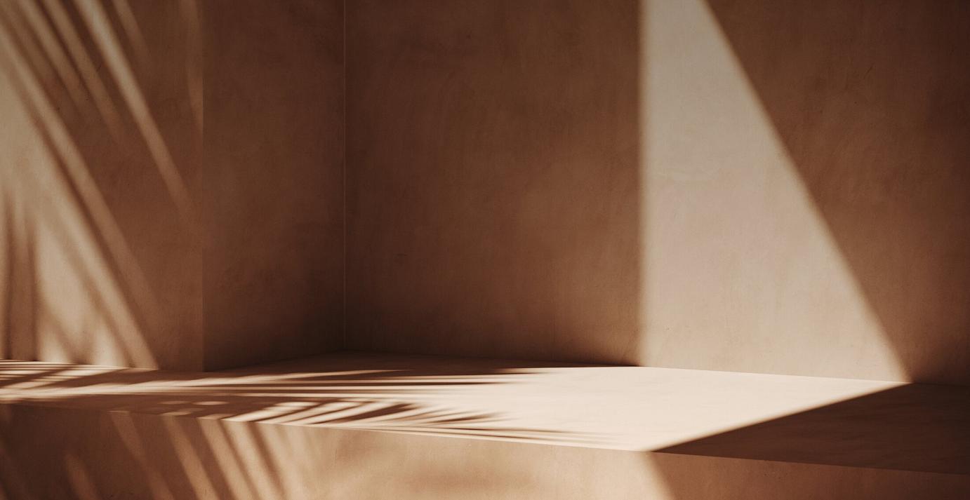 Sunlight casting palm leaf shadows on smooth beige walls and floor in a minimalist space.