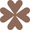 Brown asterisk symbol with rounded, petal-like ends.