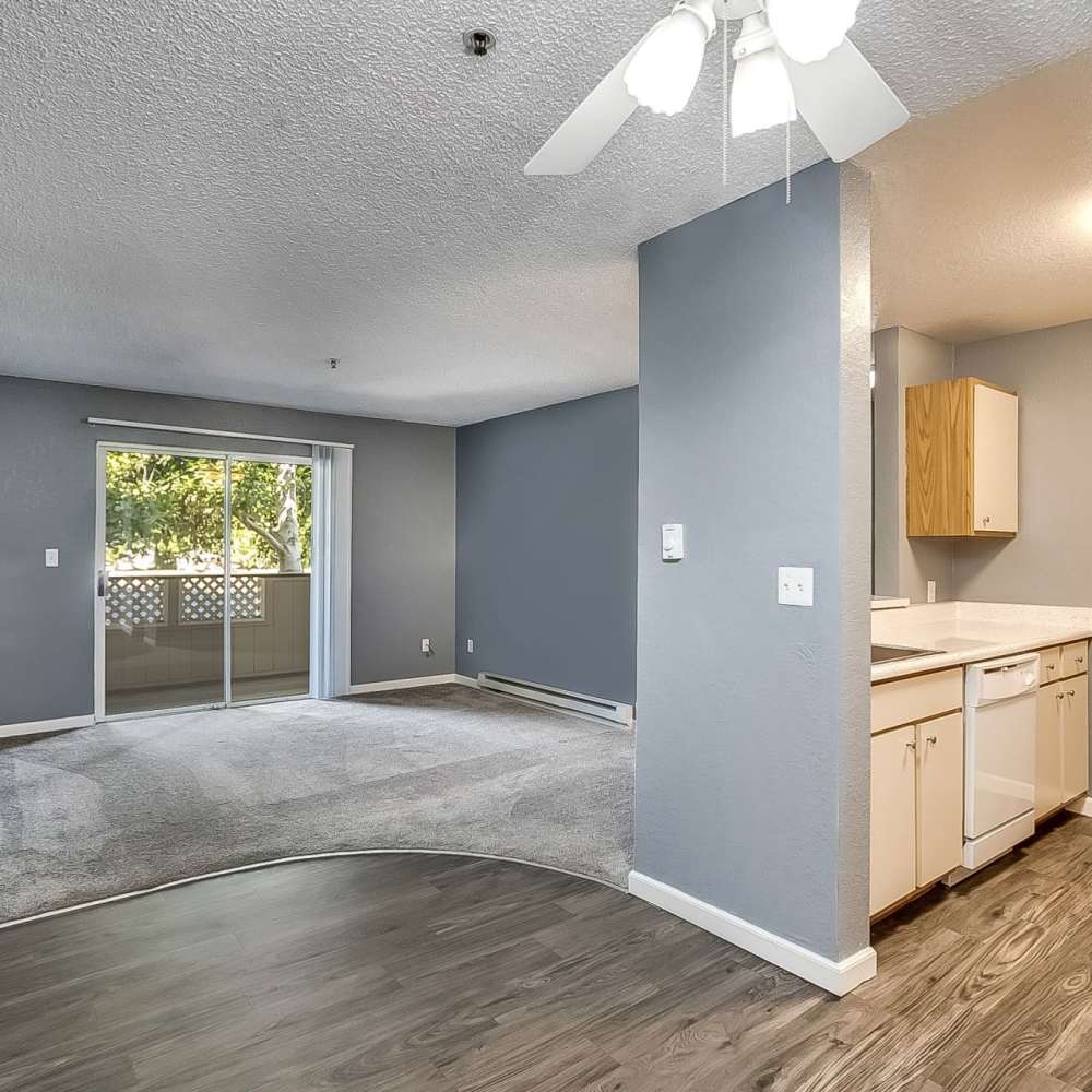 Living room and peaking into kitchen