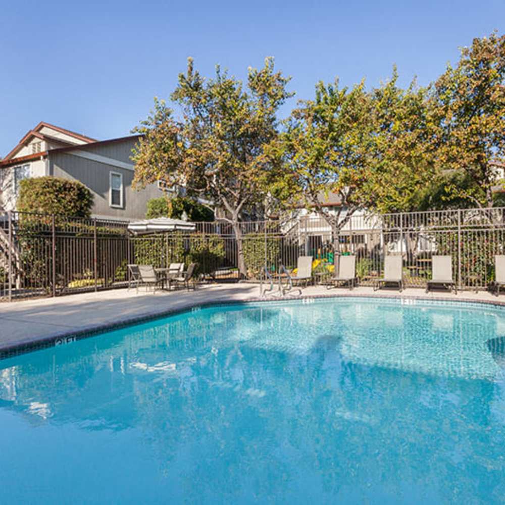 Pool with lounge chairs