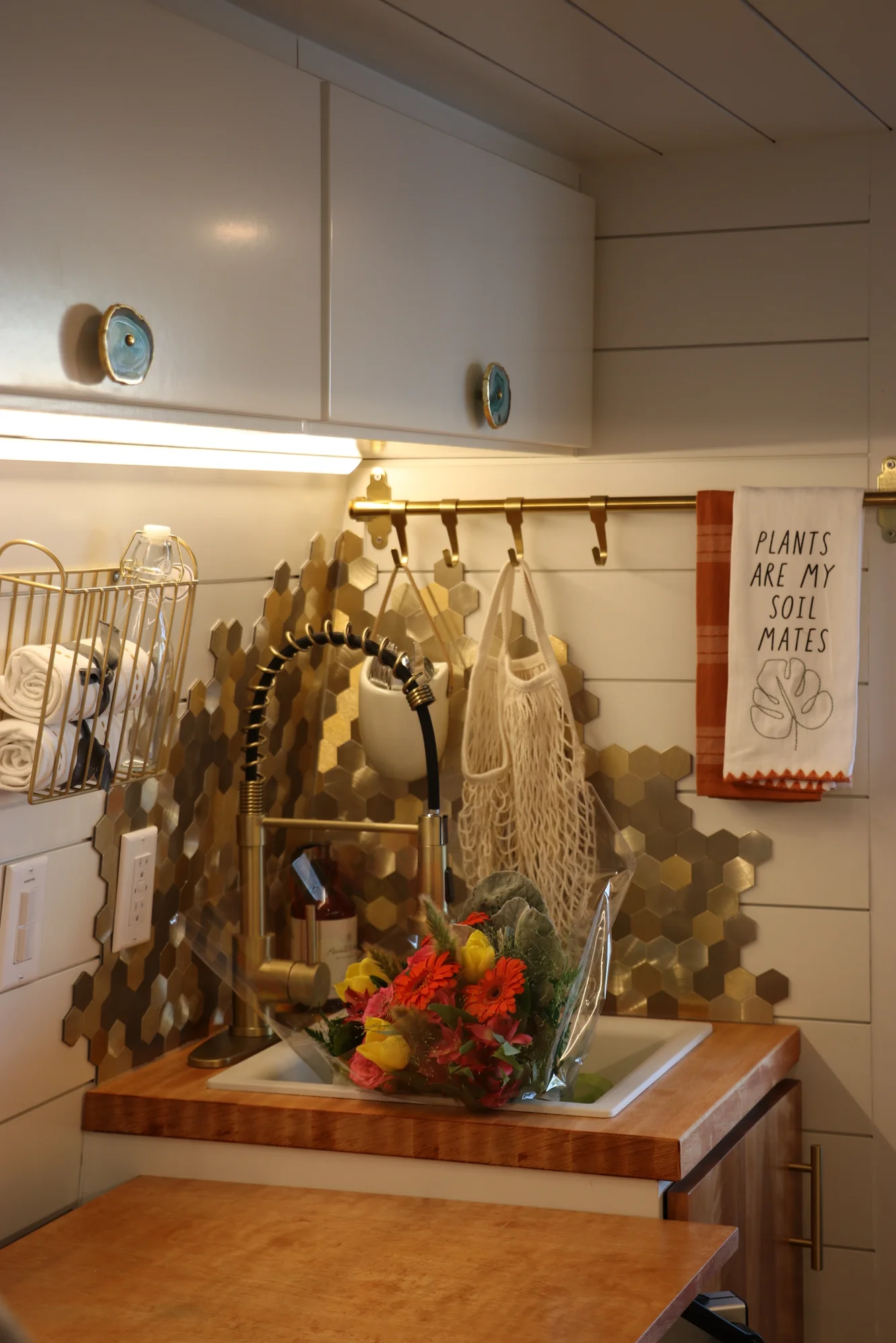 The Drifter 101 custom Ford Transit campervan built for Nikki and Rocco by Drifter Vans, boho interior with an arched wood shower door, gold details, string lights, and hanging plants