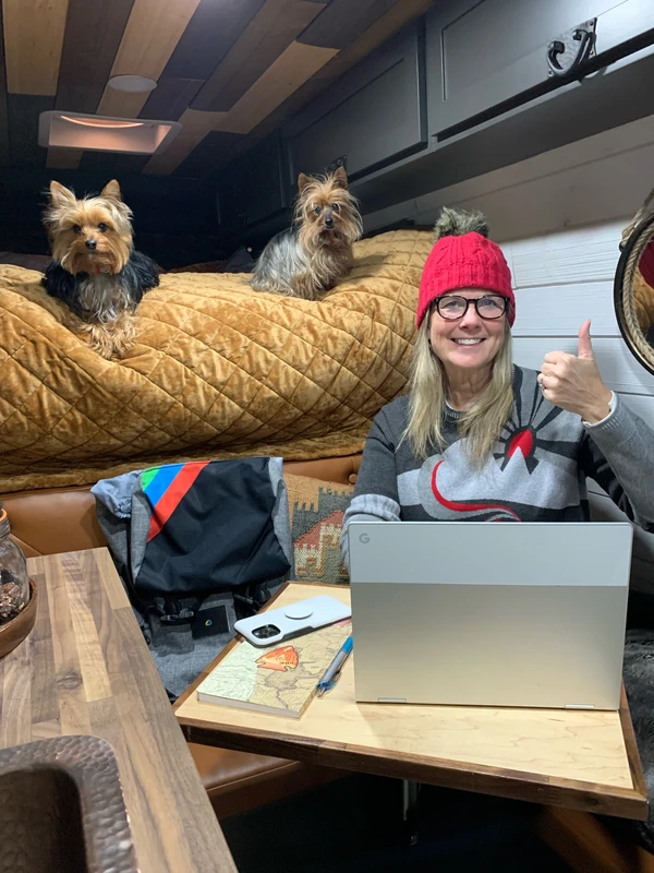 Melisa working on her laptop inside the campervan, surrounded by two dogs, showing a real-life remote work setup on the road.