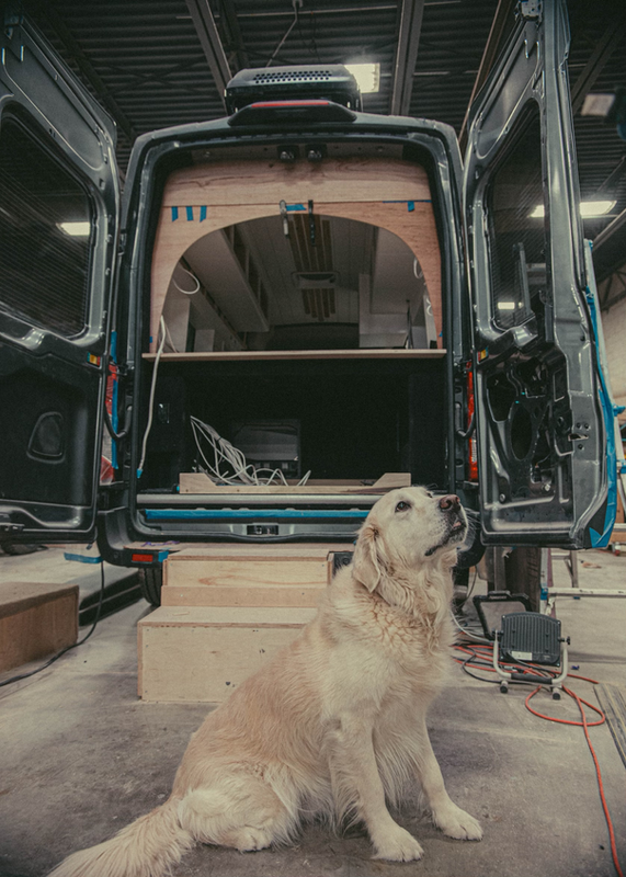 vanlife with a pet