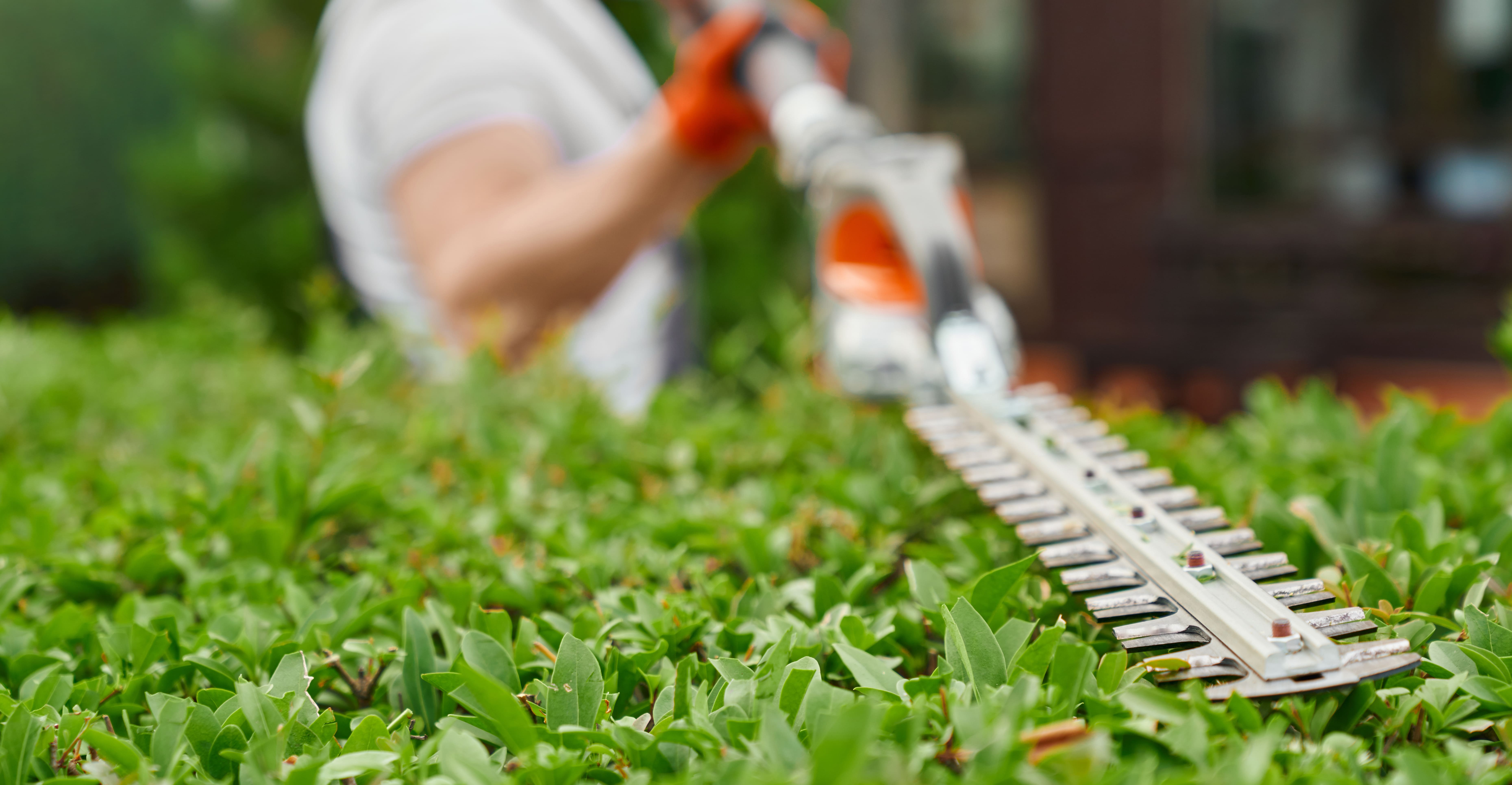 Hovenier snoeit een groene haag tijdens de aanleg en het onderhoud van een verzorgde tuin rondom een woning.
