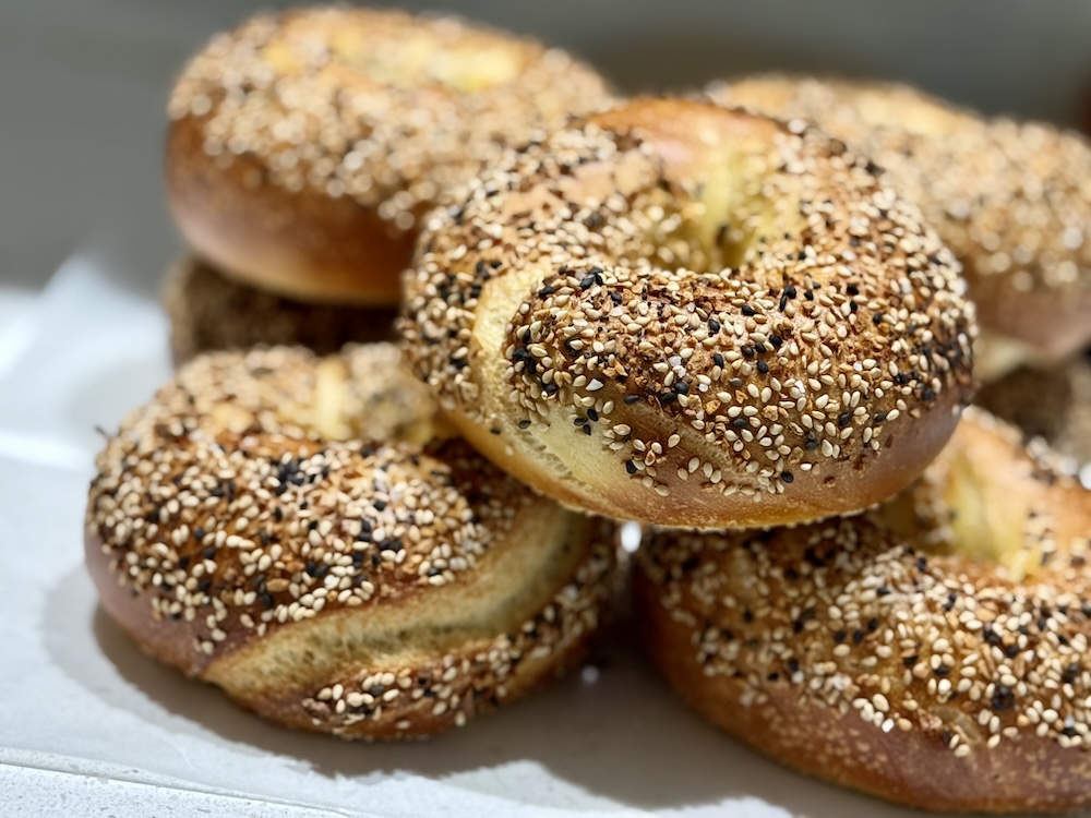 Egg Bagel (Plain & Everything)