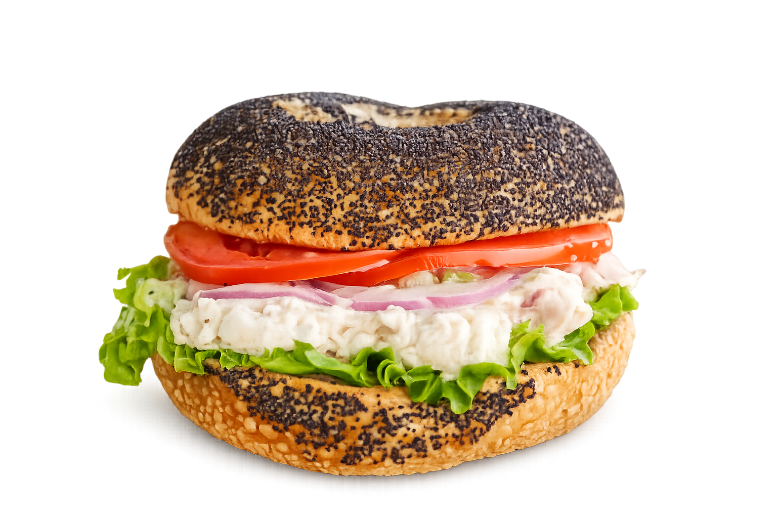 The Gibson — chicken salad bagel sandwich