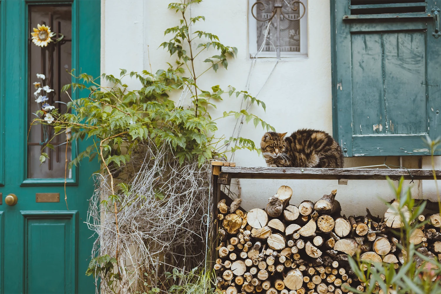 Photographie de rue n° 5
