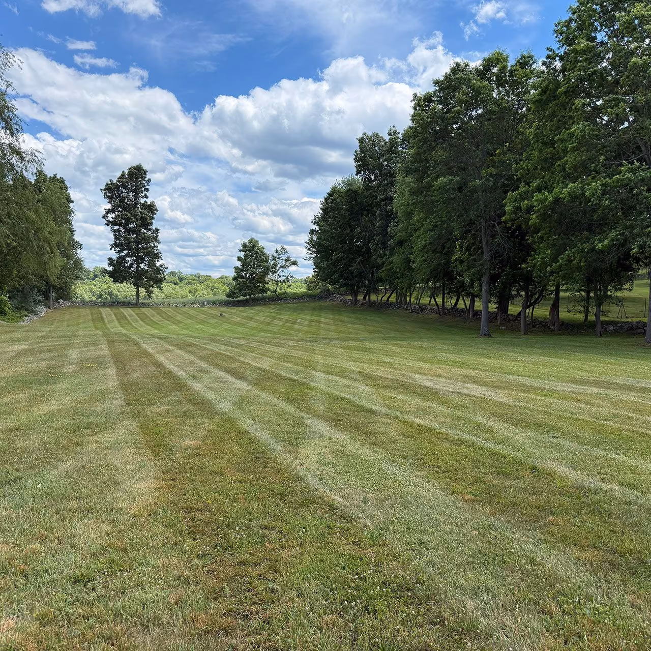 Reliable landscape maintenance for residential properties
