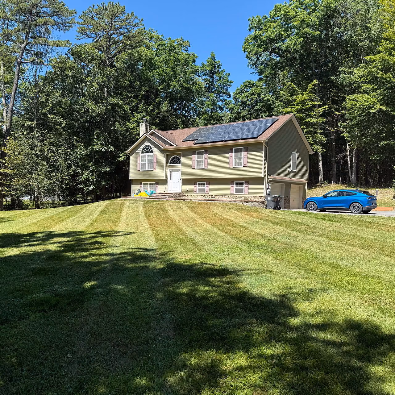 Professional property maintenance services near me