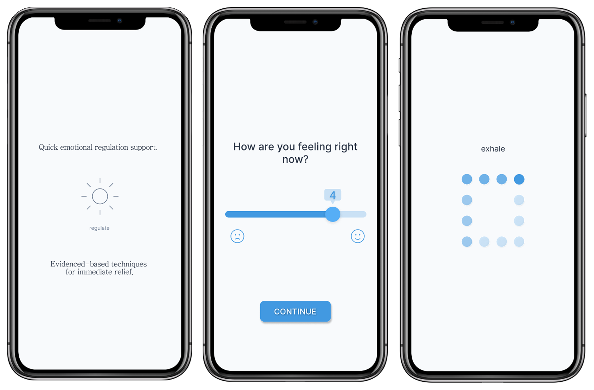 iPhones displaying key Regular App screens