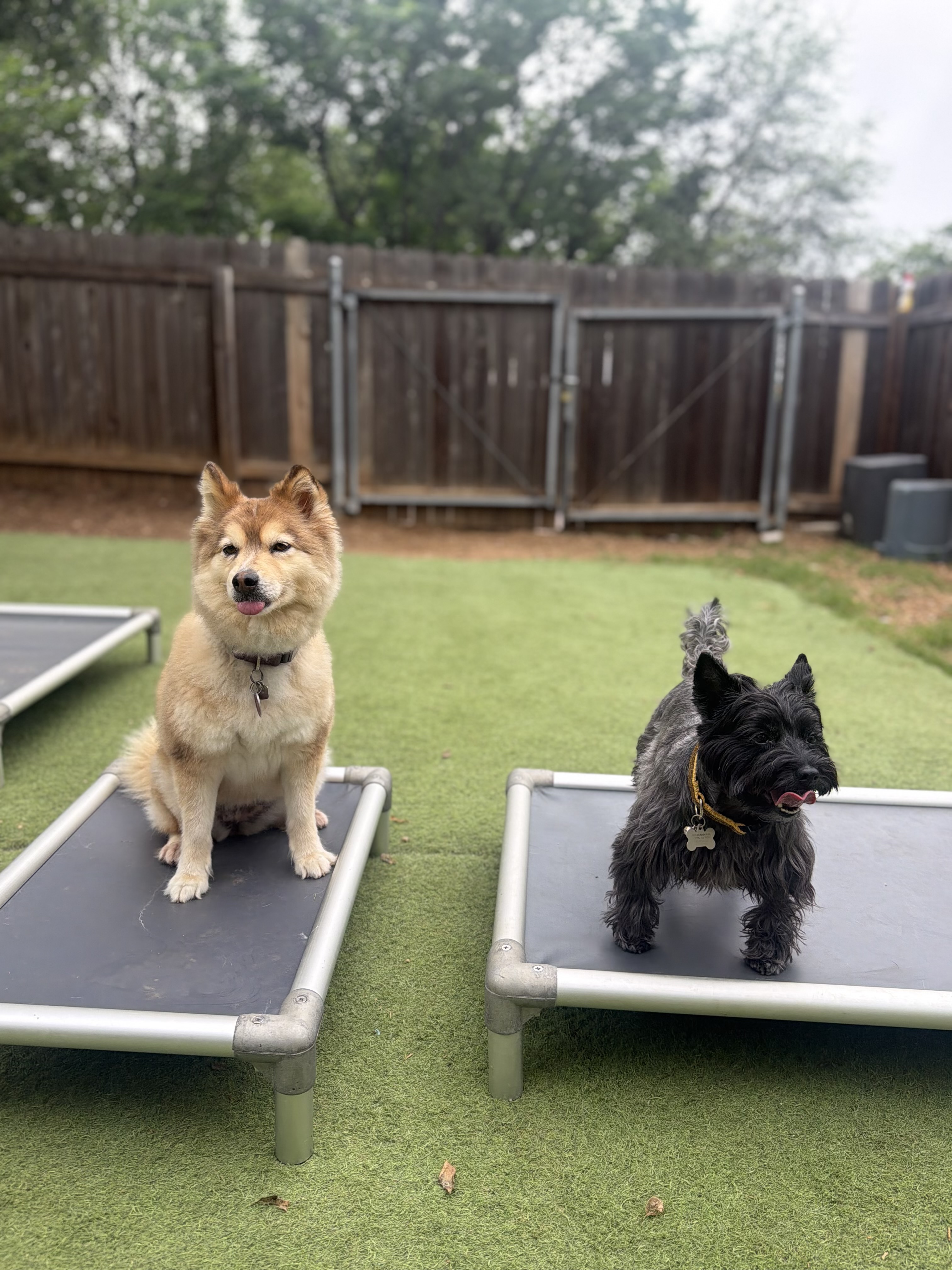 Training session