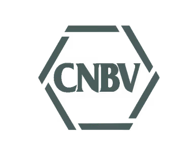 cnbv logo