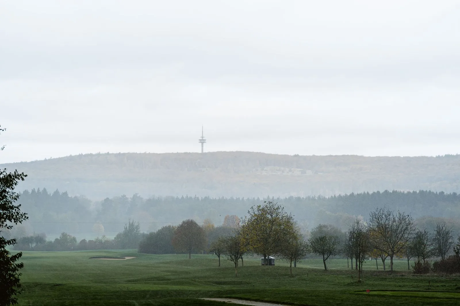 Herbstnebel über dem Golfpark am Löwenhof: Bäume auf der Spielbahn, dahinter der bewaldete Höhenzug mit Sendeturm