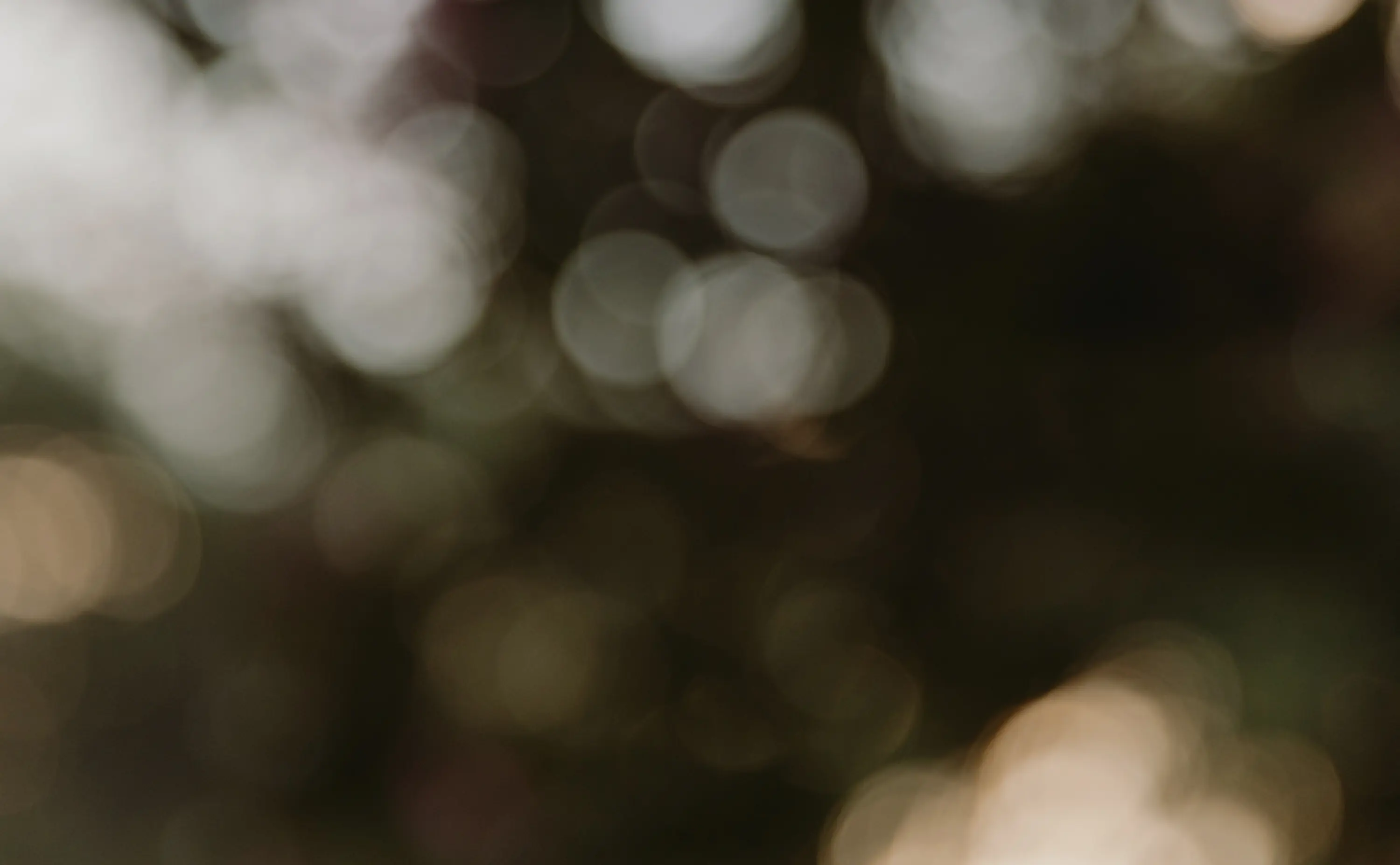 Blurred dappled light through leaves, creating a bokeh like effect. 