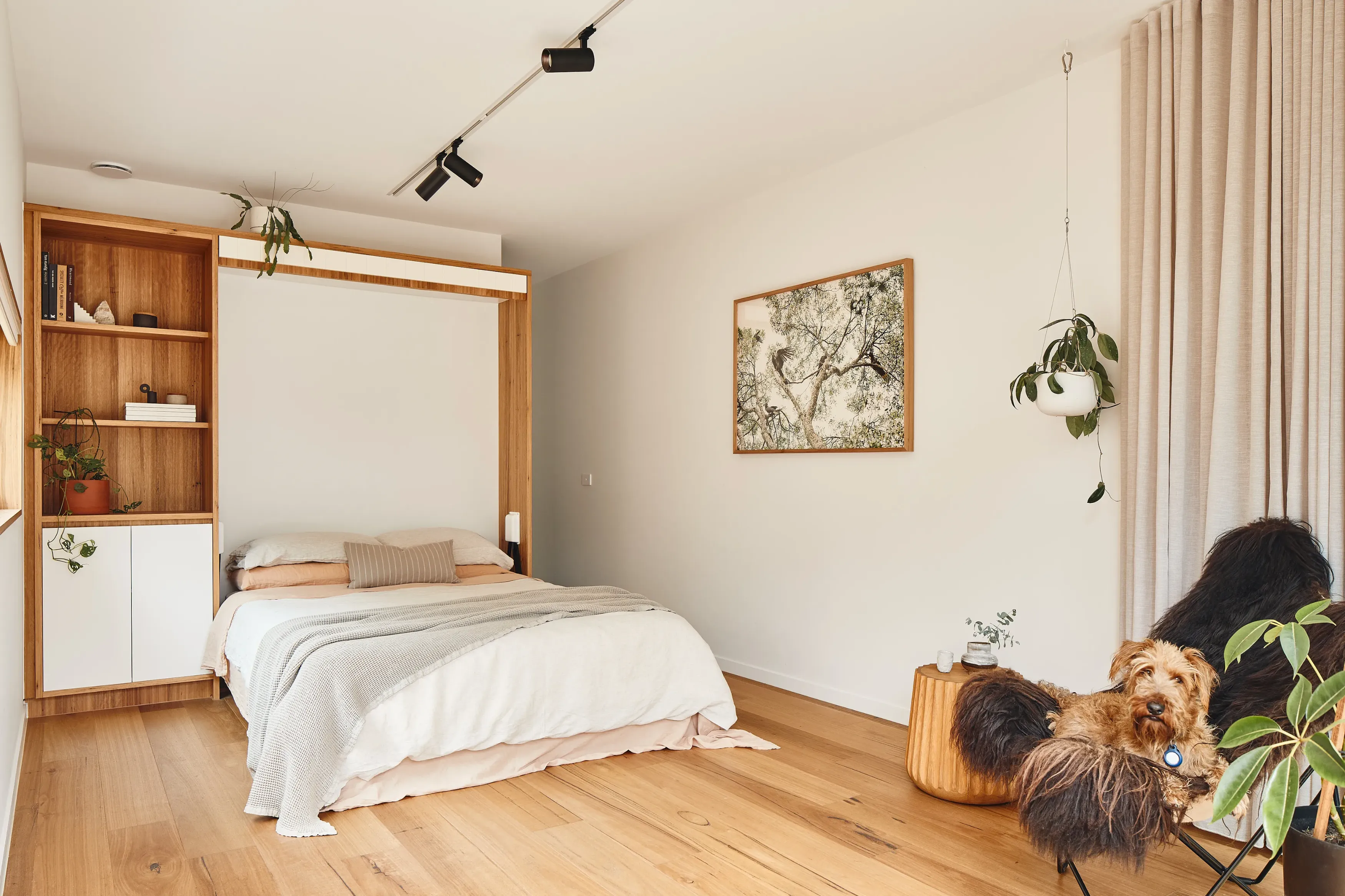 Minimalist bedroom with wood floor, made bed, shelving, framed tree art, chair, plants, and a dog resting.