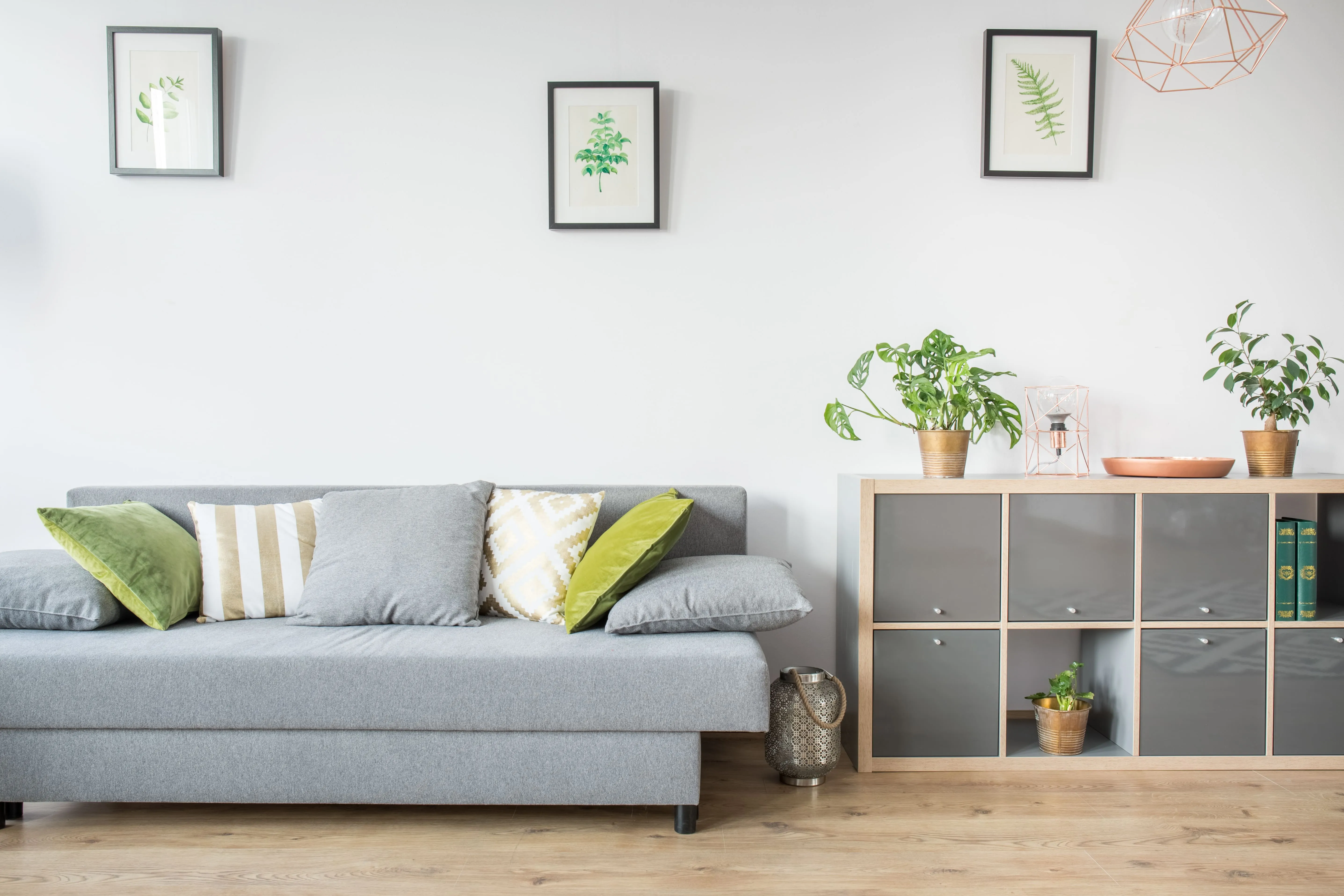 Calm therapy office with a sofa and plants.