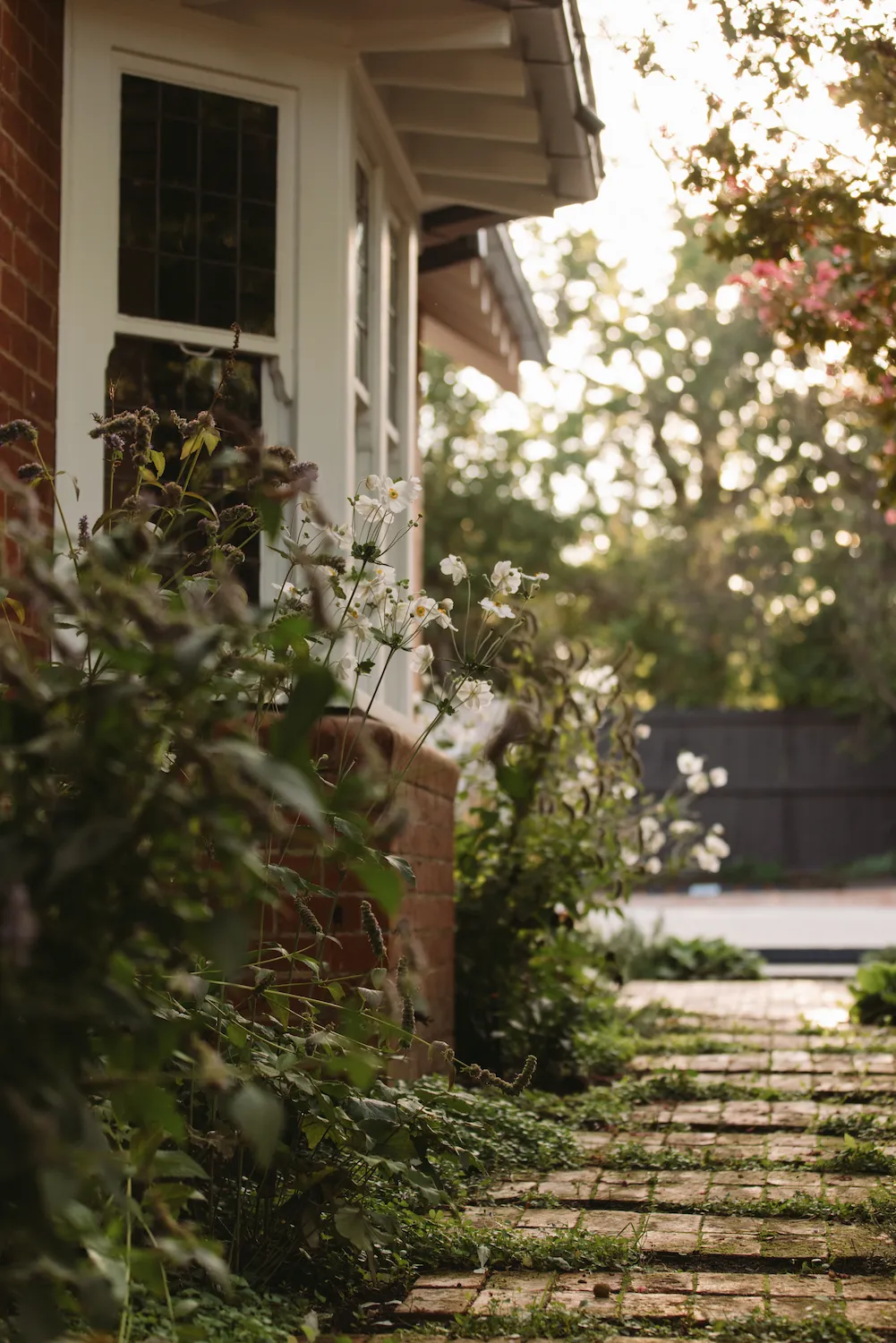 A brick garden pathway leading down the side of a house