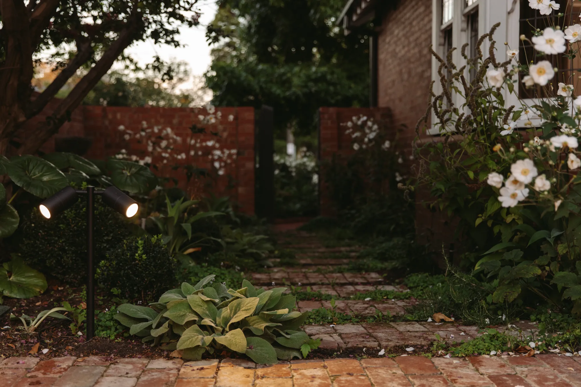 A red brick pathway lined with greenery, leading down the side of a house