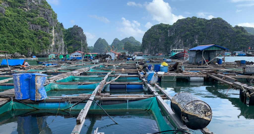 USI commits to purchasing products one year from affected fish farms to mitigate the impact of the transition.