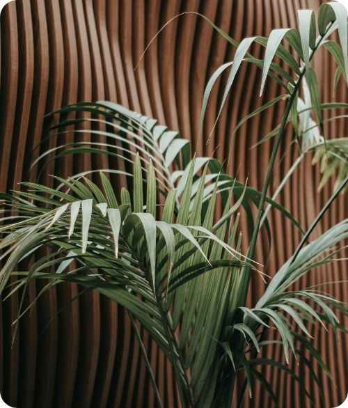 Green palm leaves in front of a brown wall with vertical wave-like texture.