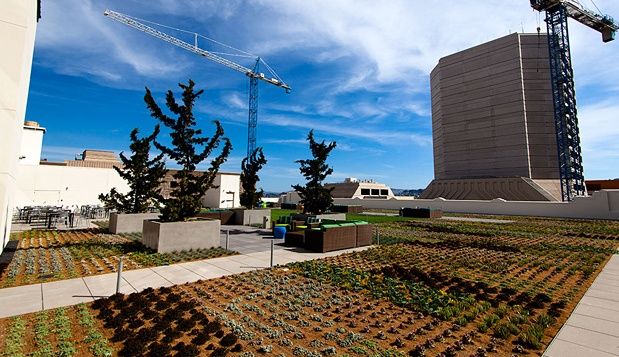 Office building design: Outdoor area