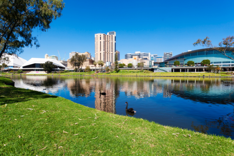 Adelaide Commmercial Office Market Update | Image of river and buildings in Adelaide