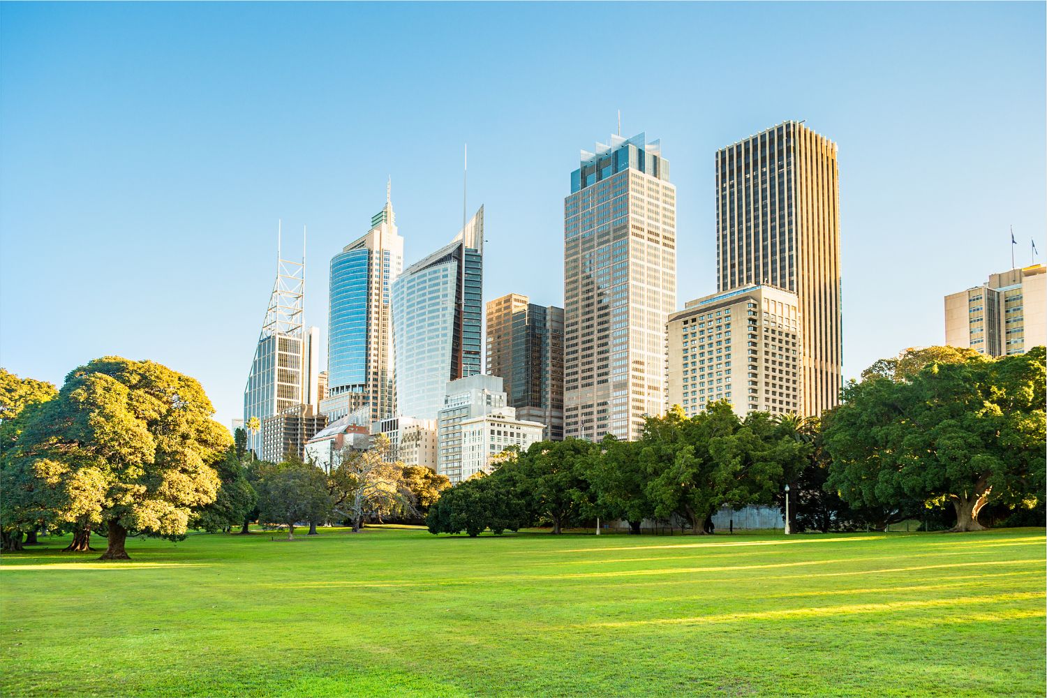 A Sydney park against a backdrop of commercial buildings signifying sustainability in commercial real estate