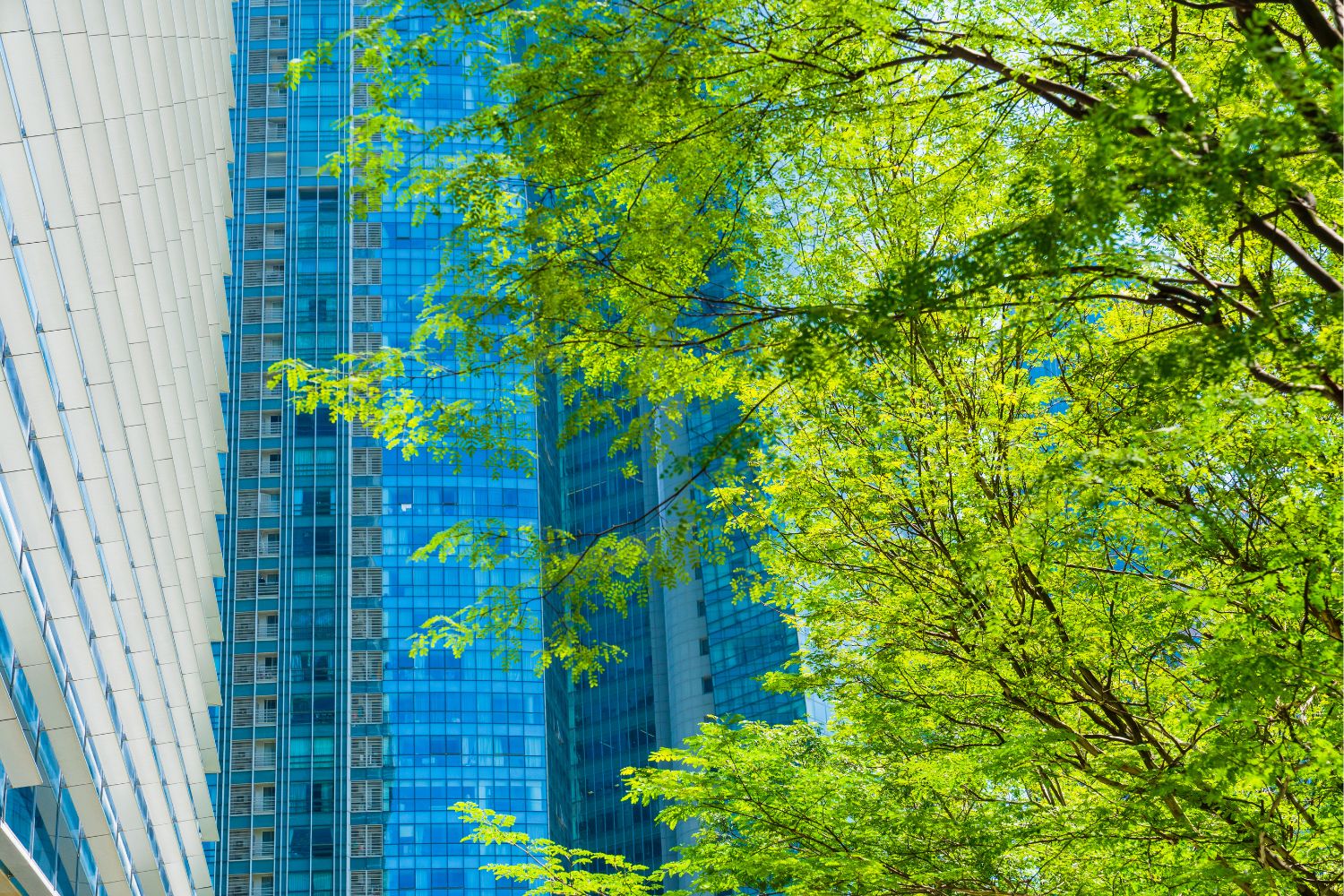 A commercial building next to a green tree to denote sustainability in commercial real estate