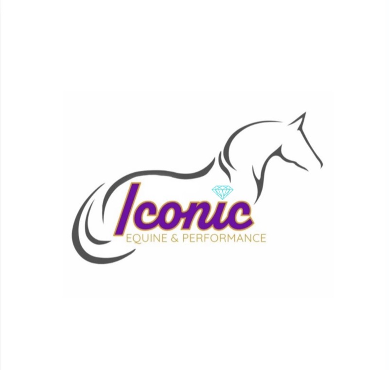 Iconic Equine and Performance
