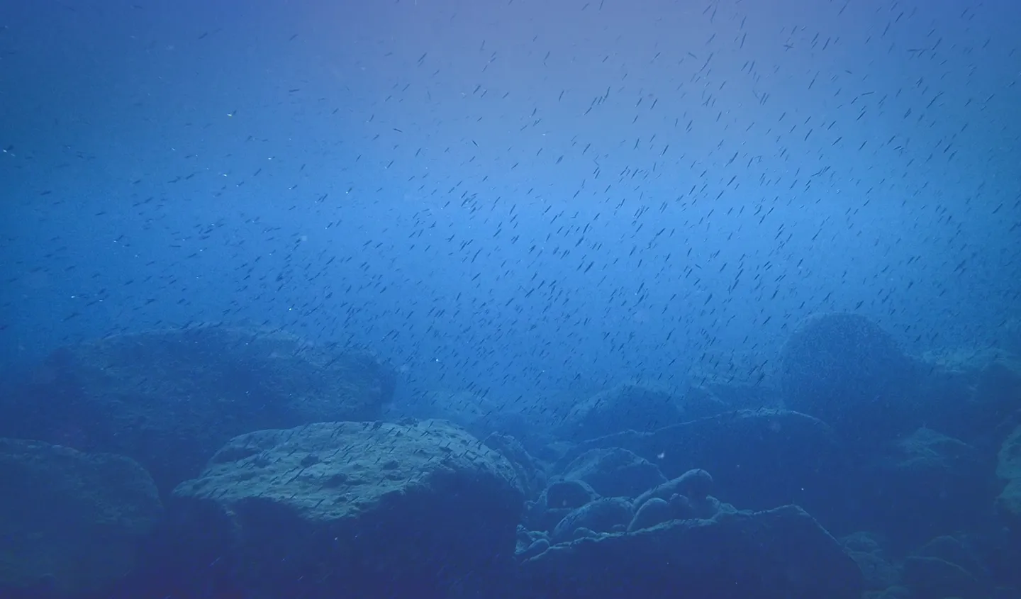 Underwater scene showing large rocks and a school of small fish swimming in blue water.
