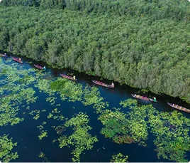 Aerial view of kayakers paddling in a dark blue river with green lily pads next to dense forest.