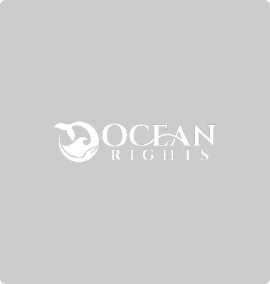 Ocean Rights logo featuring a whale tail above ocean waves in a circle, with text Ocean Rights below.