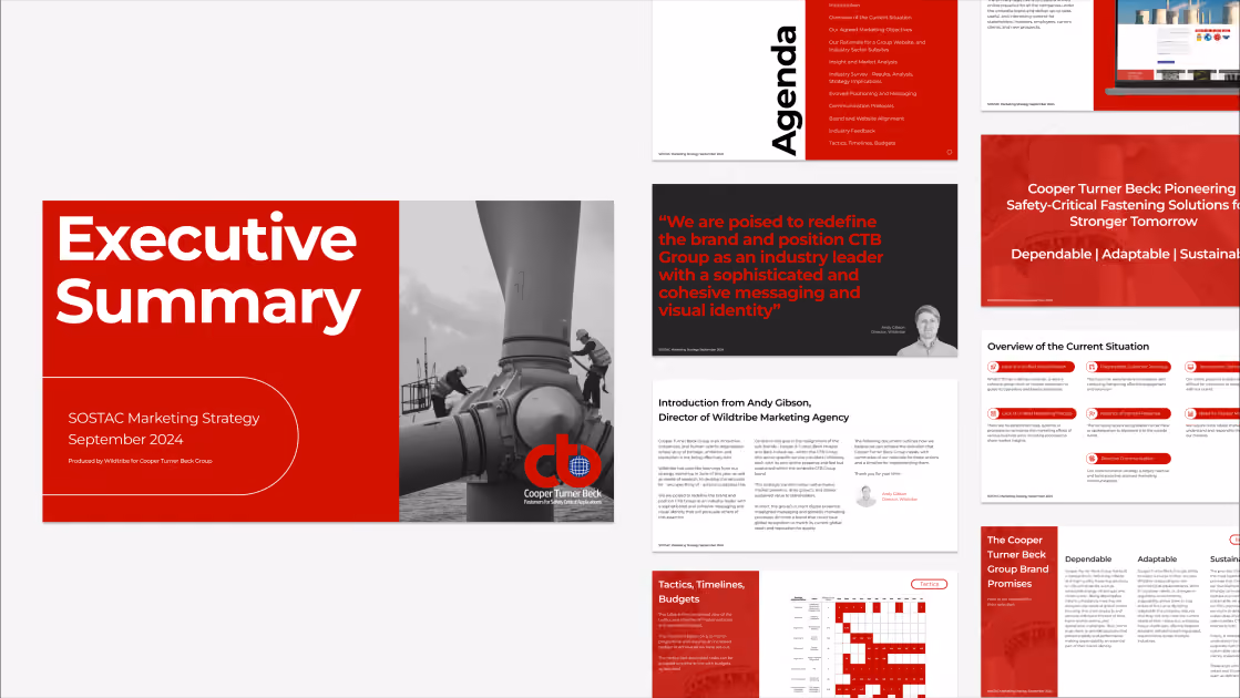 Cooper Turner Beck marketing strategy executive summary and presentation