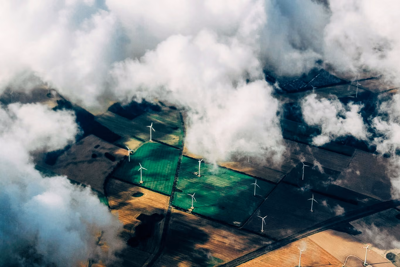 Renewable energy infrastructure image for Wildtribe content