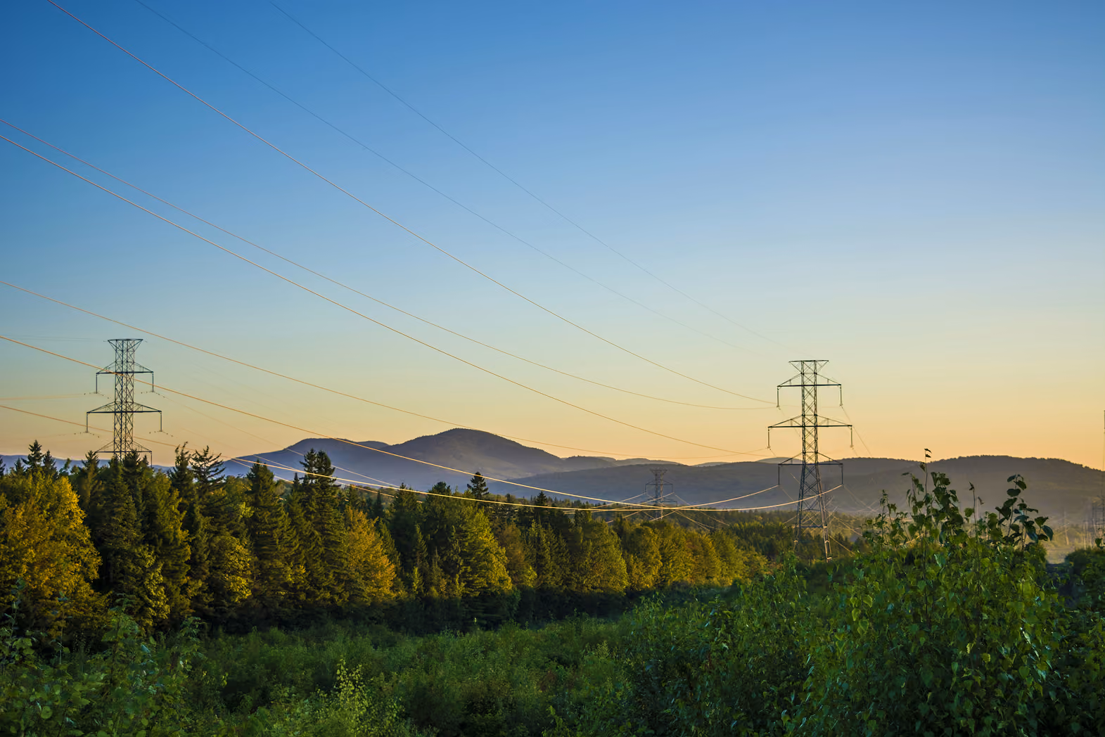 Clean energy image for Wildtribe sector content