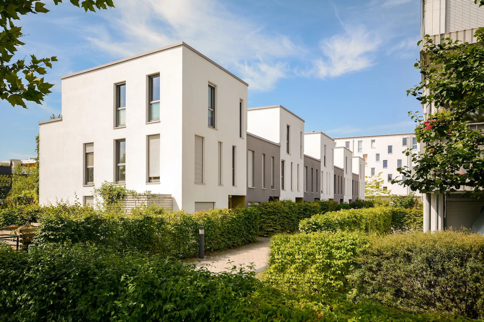 Moderne Reihenhäuser in Weiß und Grau mit Grünflächen und Gehweg bei blauem Himmel.