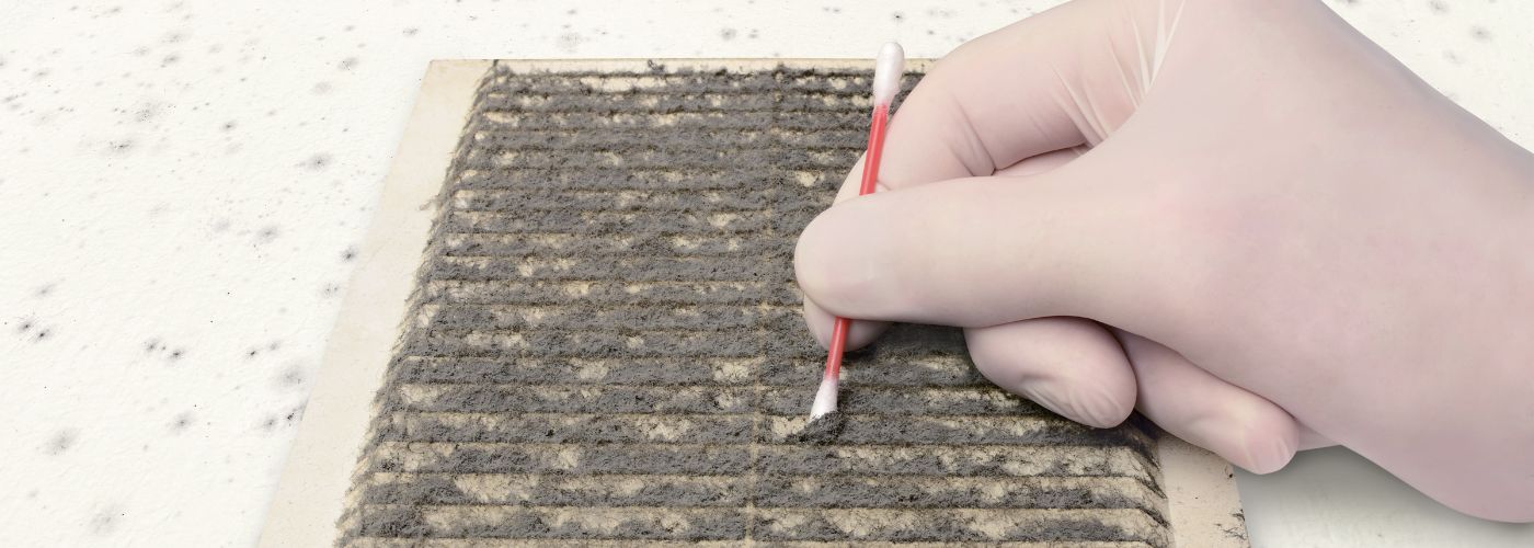 How To Test For Mold In Air Ducts