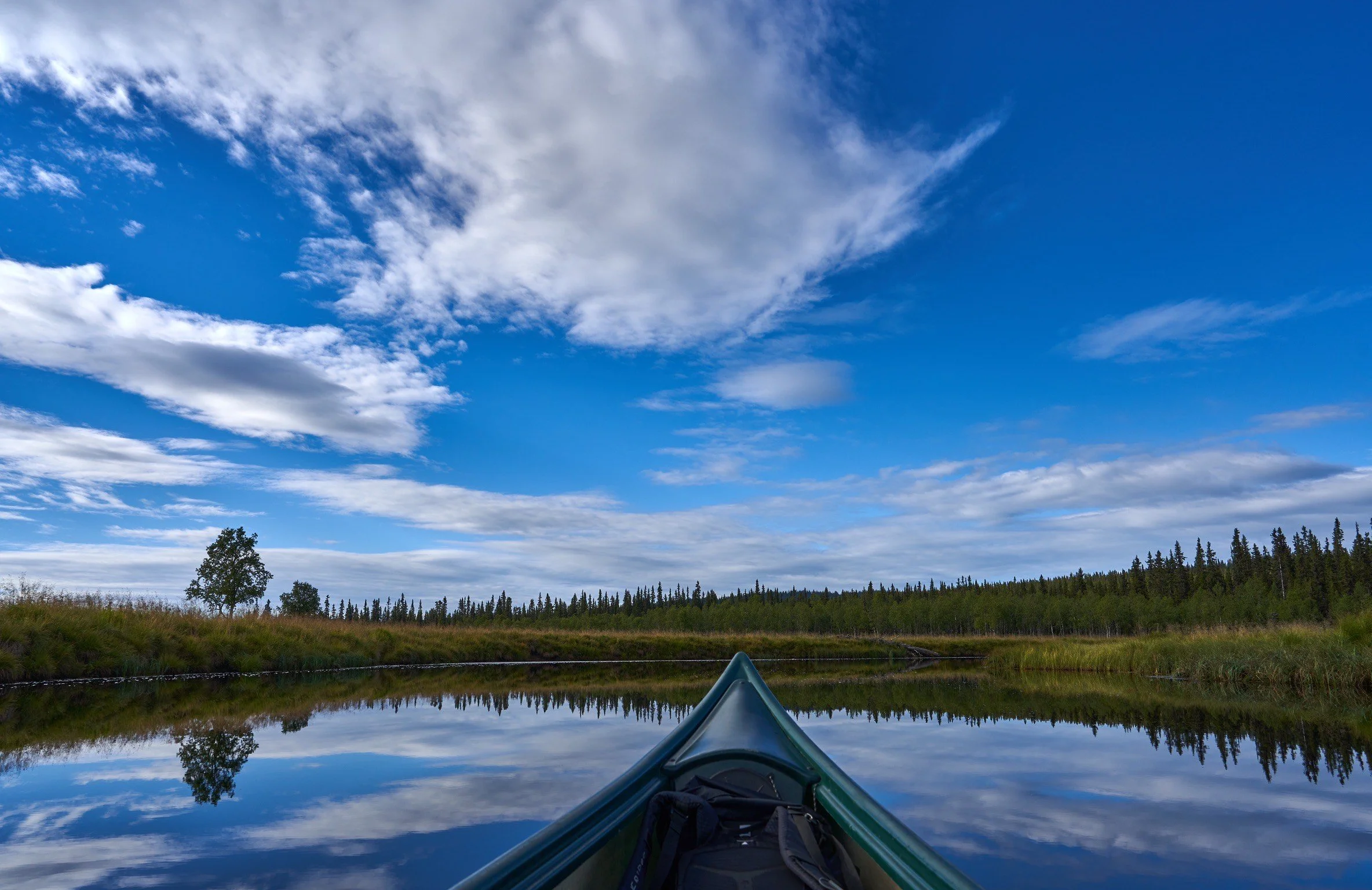 Guests canoeing on the river Åsta