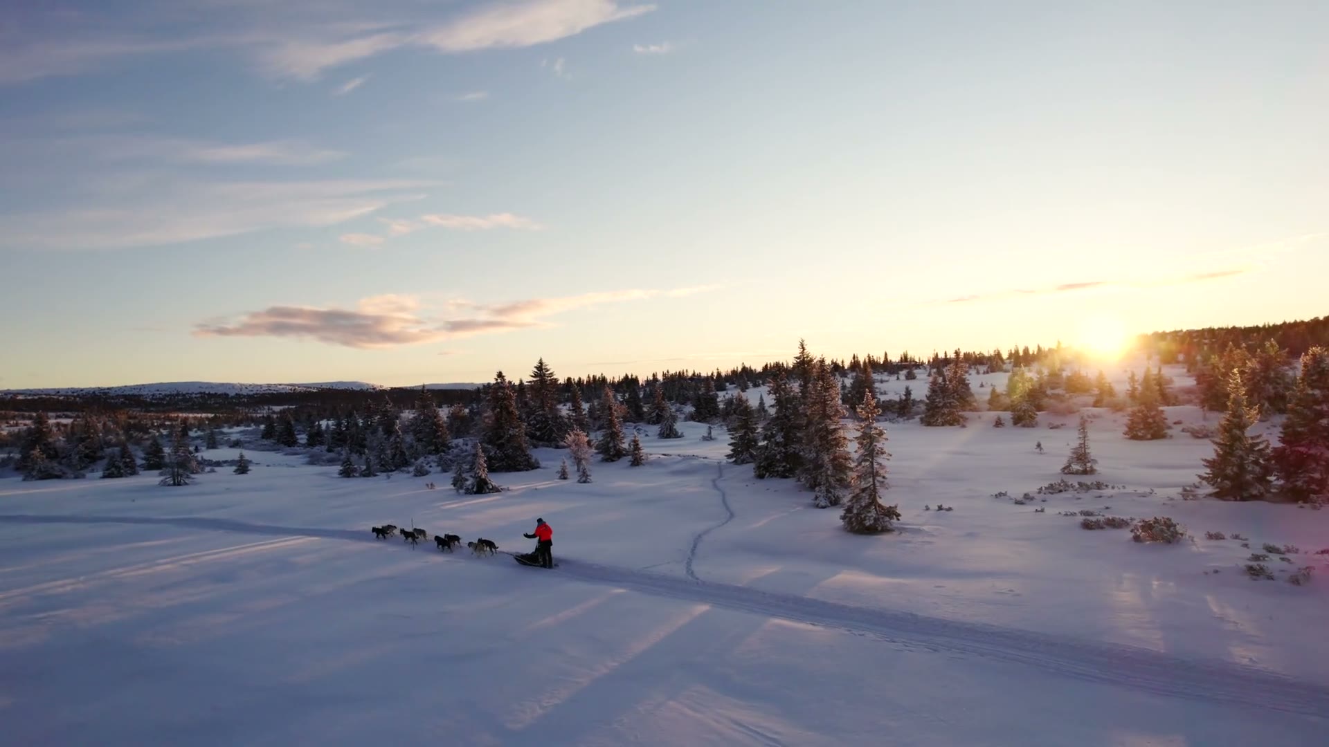 A sled team heading out from the lavvu at Finnøla